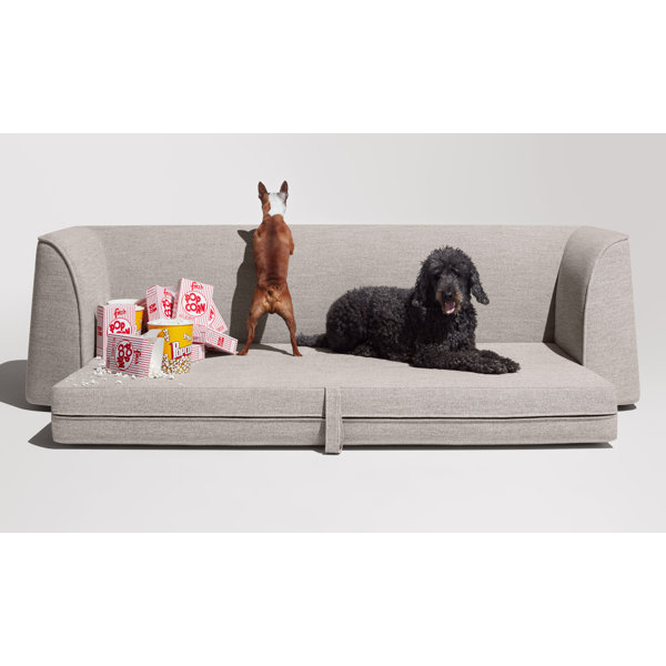 Blu Dot Thataway 102" Sleeper Sofa & Reviews Wayfair